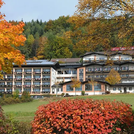 Wellness- Und Waldesruh Отель 3*