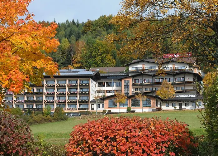 Wellness- Und Waldesruh Отель 3*